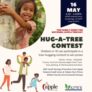 1 1 300x300 - Hug-a-Tree Contest