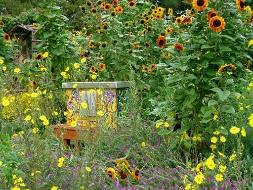 KPWB to Sponsor Pollinator Garden