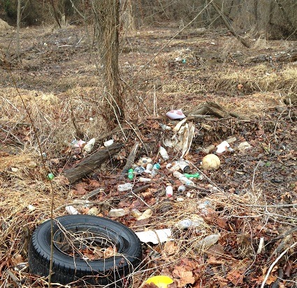 feIMG 1551 - Trash cleanup of Marumsco Creek and wetland, at Veteran's Park - April 2, 2022