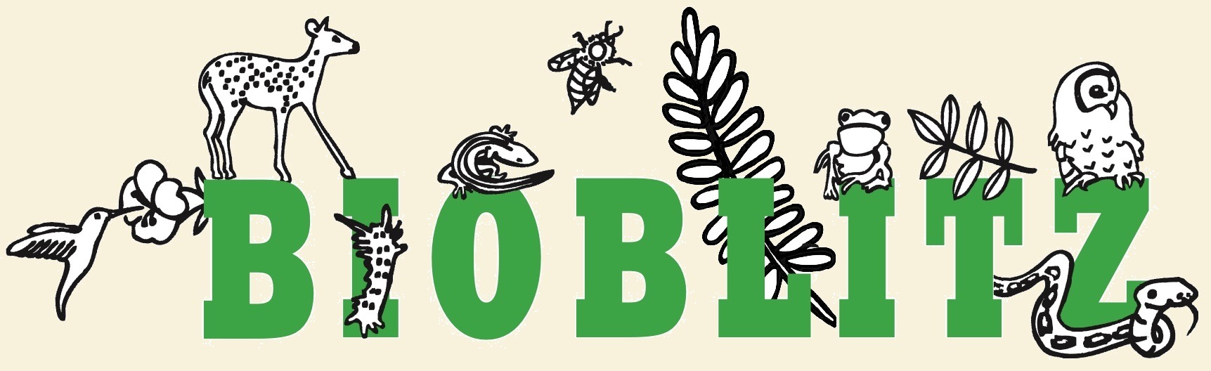 The National Park Service’s BioBlitz: Both Fun and Productive!