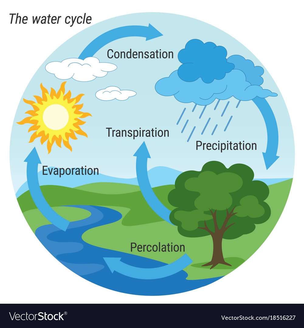 water cycle colour vector 18516227 1 - Mini-Water Cycle: Presented by Prince William County Service Authority